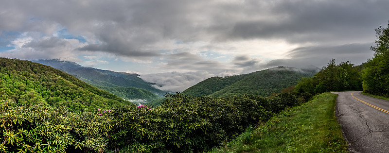 米切尔山附近的蓝岭山脉和崎岖的花园