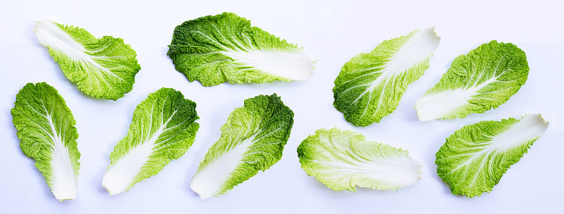 白色背景上的大白菜。本空间