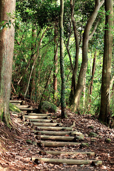 山楼梯