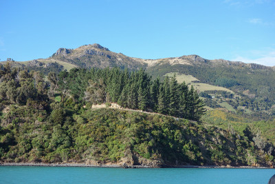 的观点Akaroa