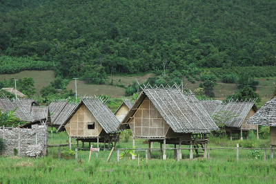水稻小屋泰国