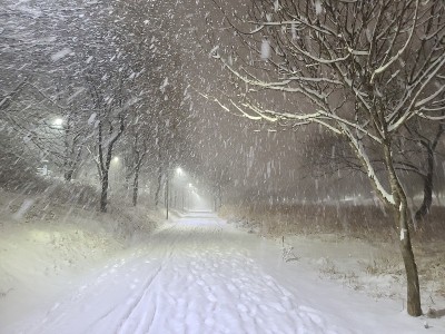 冬夜景色一片大雪