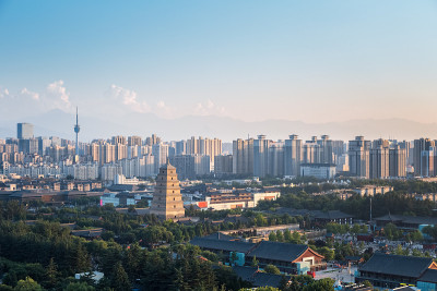 大雁塔鸟瞰图