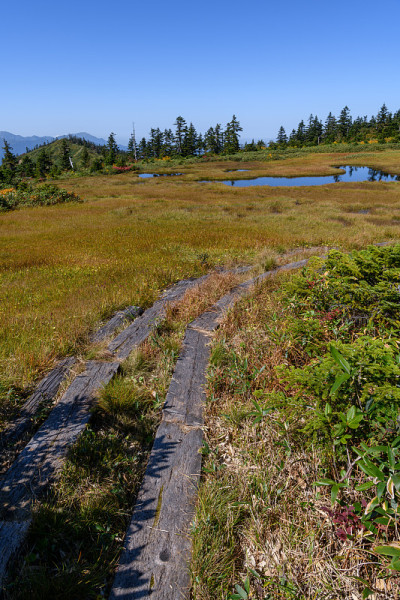 从气宫山到春梦登山的山路