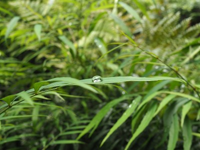 水滴