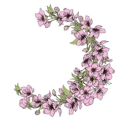 樱花花环。