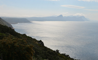 沿海景观