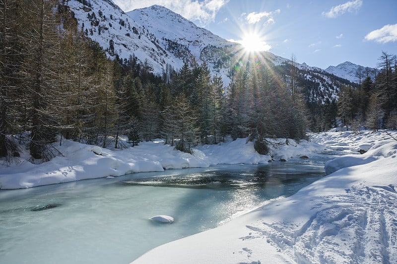 瑞士恩加丁格里森州彭特雷西纳的罗斯格河谷，雪景与落叶松森林