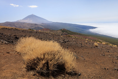 国家公园广场Tenerife