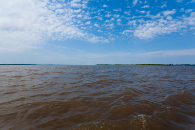 会议的水域。巴西河流从玛瑙斯汇流