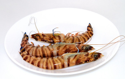 生虎虾