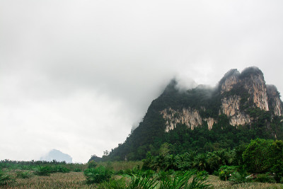 山和雾的景观，甲米，泰国