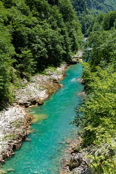 俯瞰山河。塔拉和群山被针叶林覆盖。黑山共和国,欧洲。