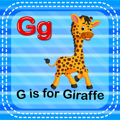 识字卡片上的字母G代表长颈鹿