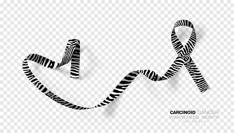 Carcinoid Cancer Awareness Month. Zebra Stripe Col