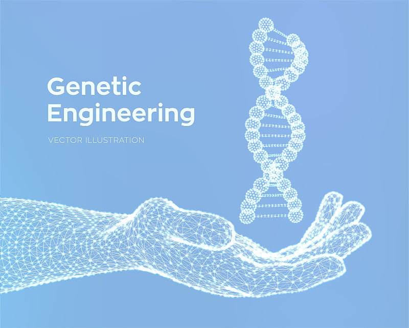 DNA序列在手。线框DNA分子结构网。DNA代码可编辑模板。科学技术概念。矢量插图。