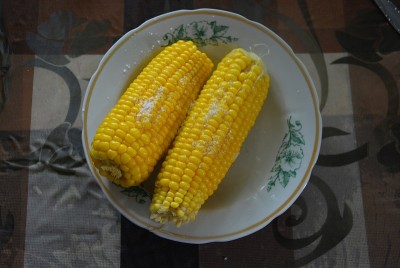 美味的黄色煮乌克兰，两个玉米和盐南瓜摆在盘子里，还有绿色的花朵。
