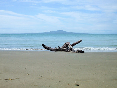 夏日海滩上的浮木
