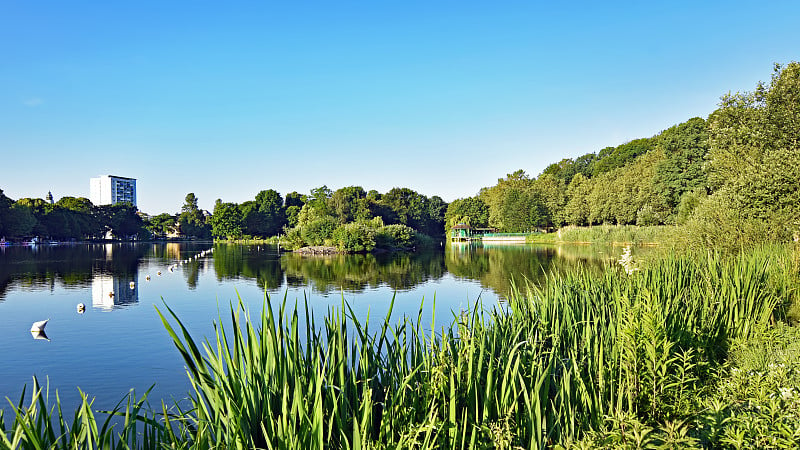 在开姆尼茨(德国)的“Schlossteich”池塘的早晨阳光