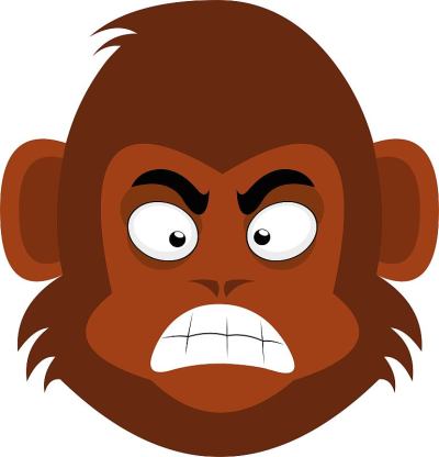 矢量表情插图卡通猴子的头与愤怒的表情，咬紧牙关