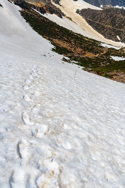 雪地里的脚印