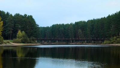 湖上有森林桥横跨湖面