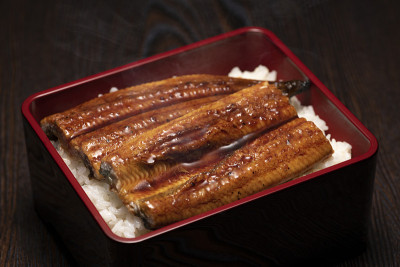 Una-juu。烤鳗鱼饭日本方盒餐具