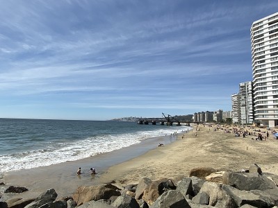 智利的Vina Del Mar