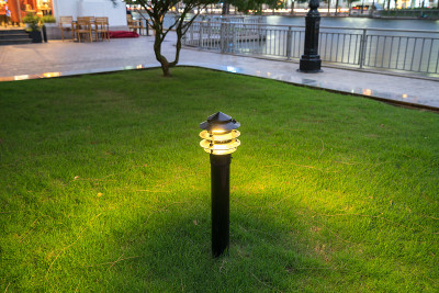 在公园的花园里，夜晚灯火通明