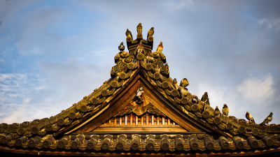 寺庙屋顶上的鸽子