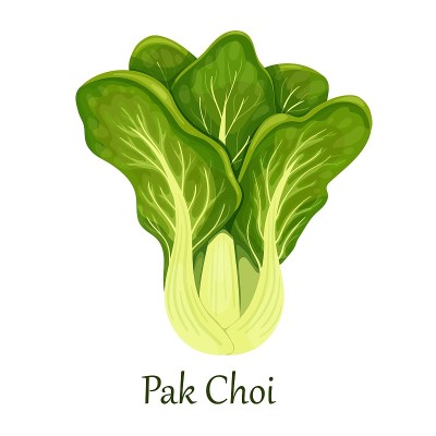 白菜或白菜