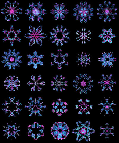 异国情调的雪花