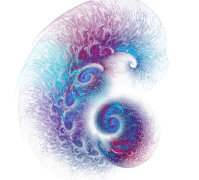一个抽象的电脑生成的现代分形设计。抽象分形色彩纹理。数字艺术。抽象的形式和颜色。抽象的分形元素为您的