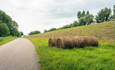 乡村公路旁的干草捆