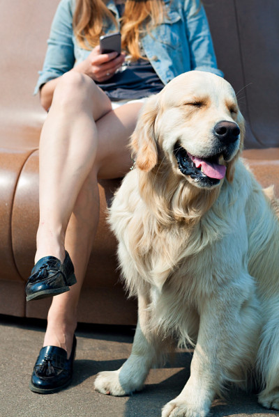 公园里的年轻女子和她的金毛猎犬