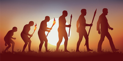 Theory of the evolution of the human silhouette of