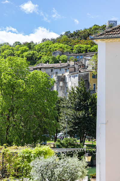 古老的房屋和中世纪村庄Sauve (Occitanie，法国)的森林
