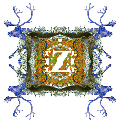 字母Z。