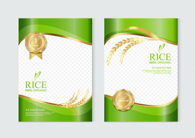 大米食品或泰国食品，横幅和海报模板矢量设计。