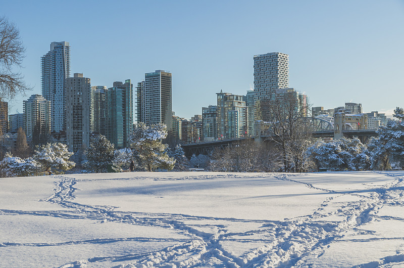 温哥华的雪景