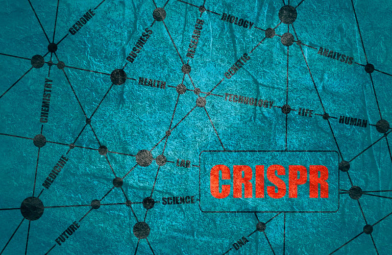 CRISPR系统用于编辑、调节和定位基因组词汇云