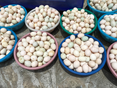 篮子里的鸭蛋，泰国市场