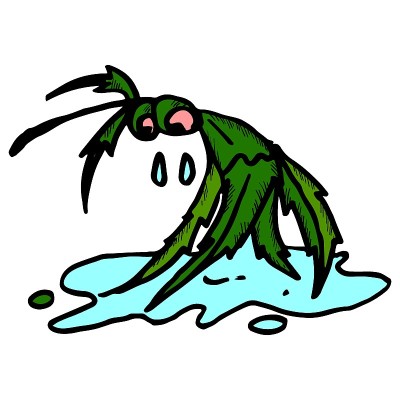 打印