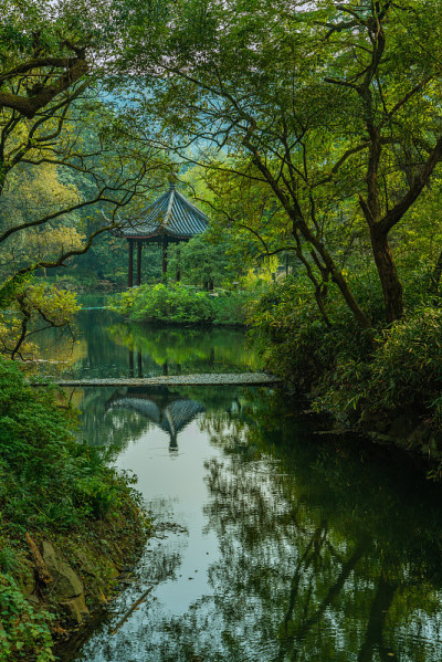 湿地景观