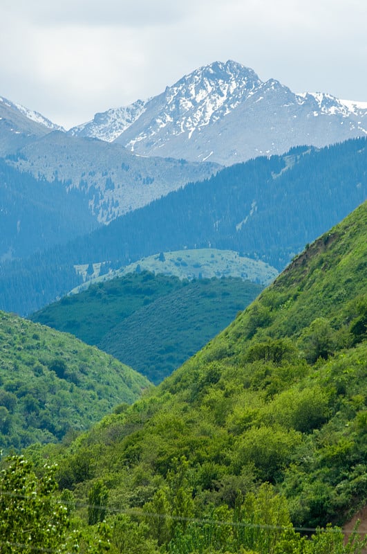 山峦在春天，