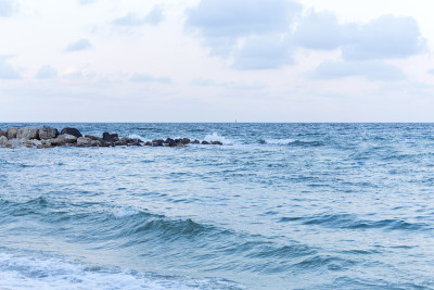 黑海