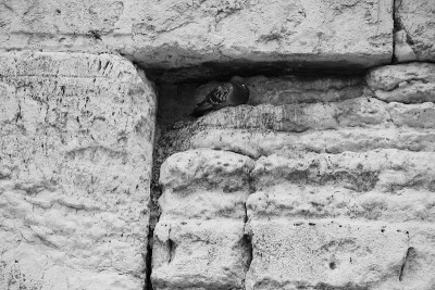 Kotel
