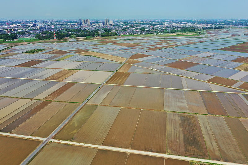 千叶县阿比子市稻田地区