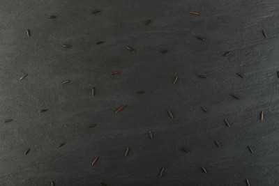 Raw Black Wild Rice on Dark Stone Background