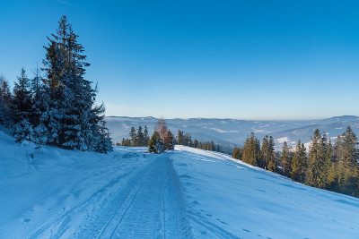在波兰Beskid Slaski山脉的Cienkow山脊上，白雪覆盖的道路上有山丘和晴朗的天空